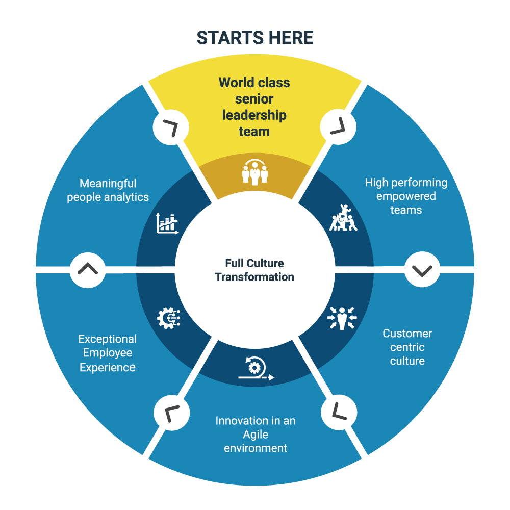 Full Culture Transformation Wheel